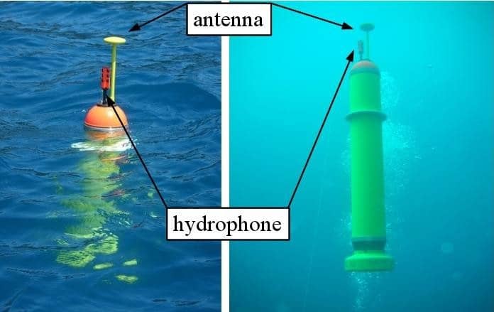 oceanographic sensors for ambient noise