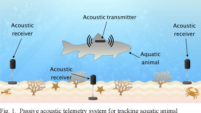 Underwater Acoustic Telemetry